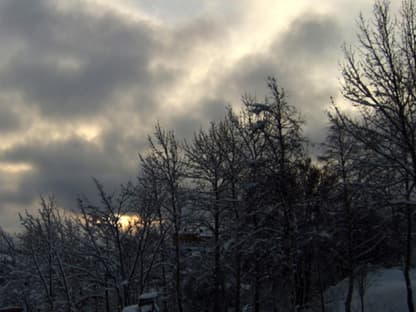 Dämmerung in der Bymarka 