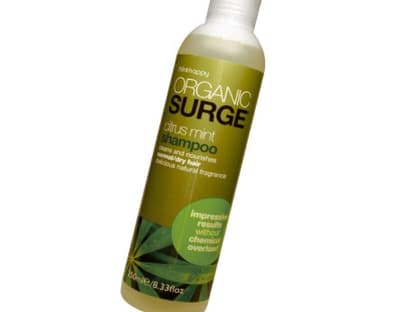 Für die Haare: Im Frühling kam die Rettung für trockenes Haar in den Handel: Citrus Mint Shampoo von Organic Surge, 250 ml ca. 8 Euro  