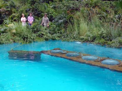 Für Patrick Nuo geht es in die nächste Dschungelprüfung "Außer Atem". Die Aufgabe: Fünf Minuten hat er Zeit insgesamt sechs Sterne  aus dem Pool zu fischen. Im Pool befindet sich unter Wasser ein  gedeckter Tisch mit fünf Plexiglashauben in die der Kopf von unten  reinstecken kann. In vier der fünf Hauben sind neben Sauerstoff auch  jeweils ein Stern und diverse Tiere