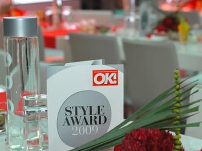 Rund 350 hochkarätige Gäste fanden sich auf Einladung von OK! ein, darunter zahlreiche Prominente und namenhafte Vertreter der Style-Award-Kategorien Parfum, Beauty, Fashion, Accessoires, Hightech, Auto, Entertainment und Charity