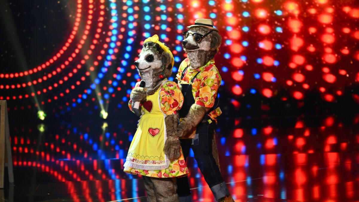 The Masked Singer 3 Promis Enttarnt