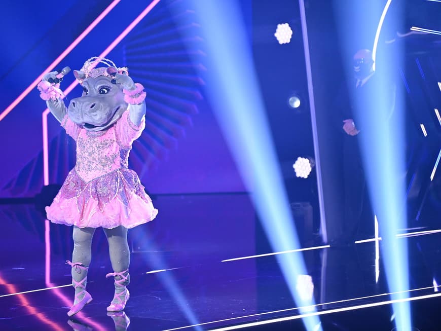 The Masked Singer Nelson Müller Ist Das Nilpferd